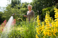 A person watering plants in a garden using a garden hose with a spray nozzle., miniatuur 2