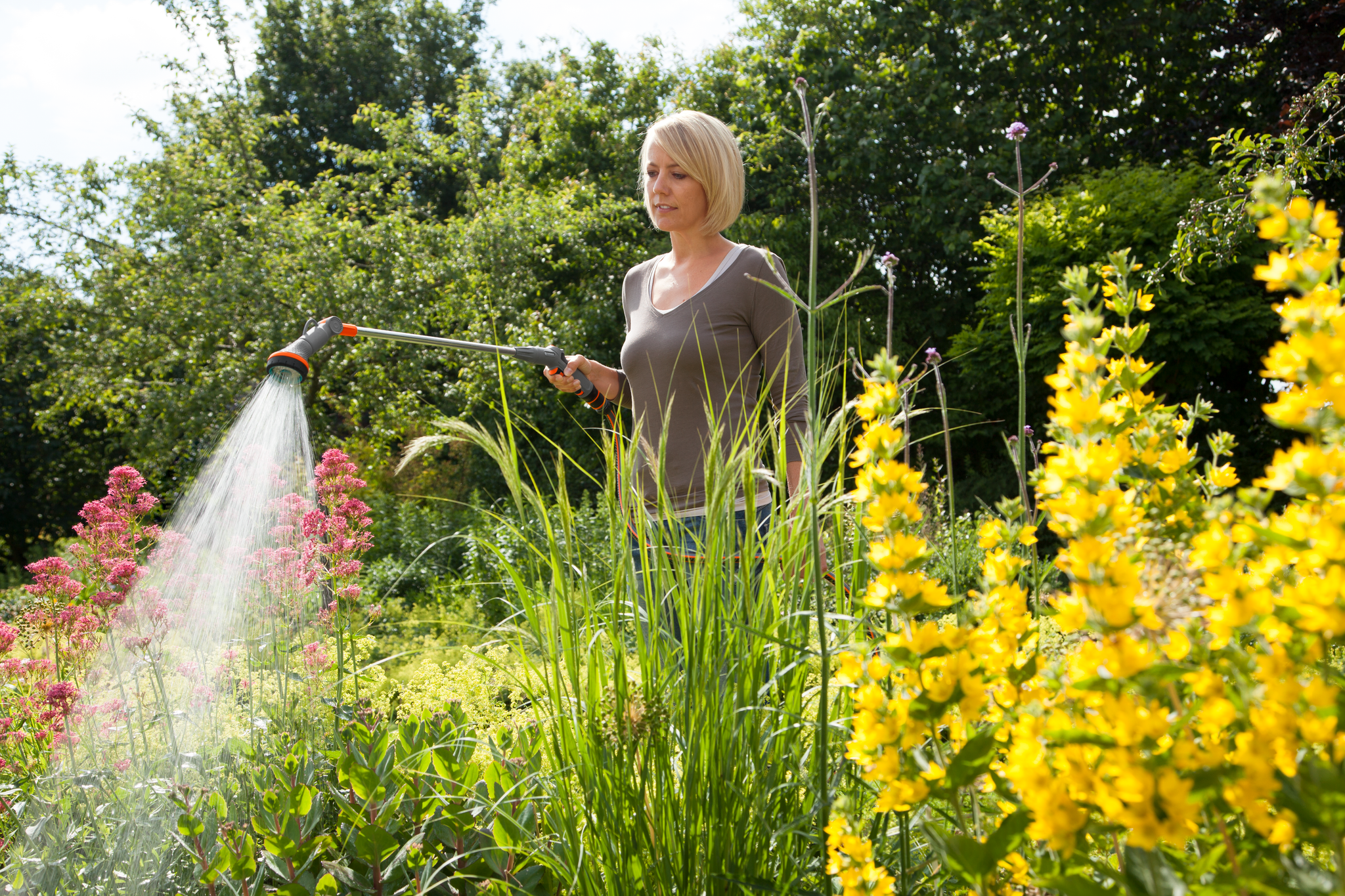 A person watering plants in a garden using a garden hose with a spray nozzle.