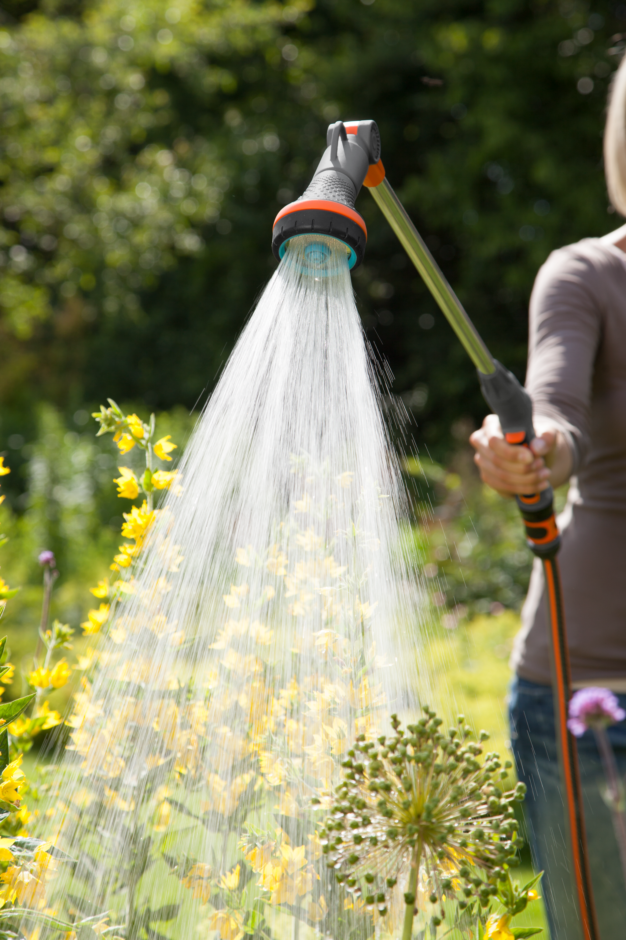 A person watering yellow flowers in a garden using a Gardena watering wand.