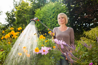 A person watering colorful flowers in a garden using a Gardena hose nozzle., miniatuur 5