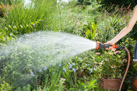 A person watering a garden with a hose nozzle, surrounded by lush greenery and flowers., miniatuur 2