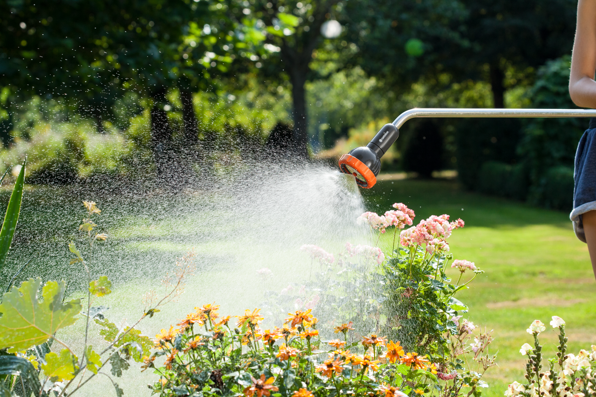 A person watering a garden with a hose, spraying water over flowers and plants.
