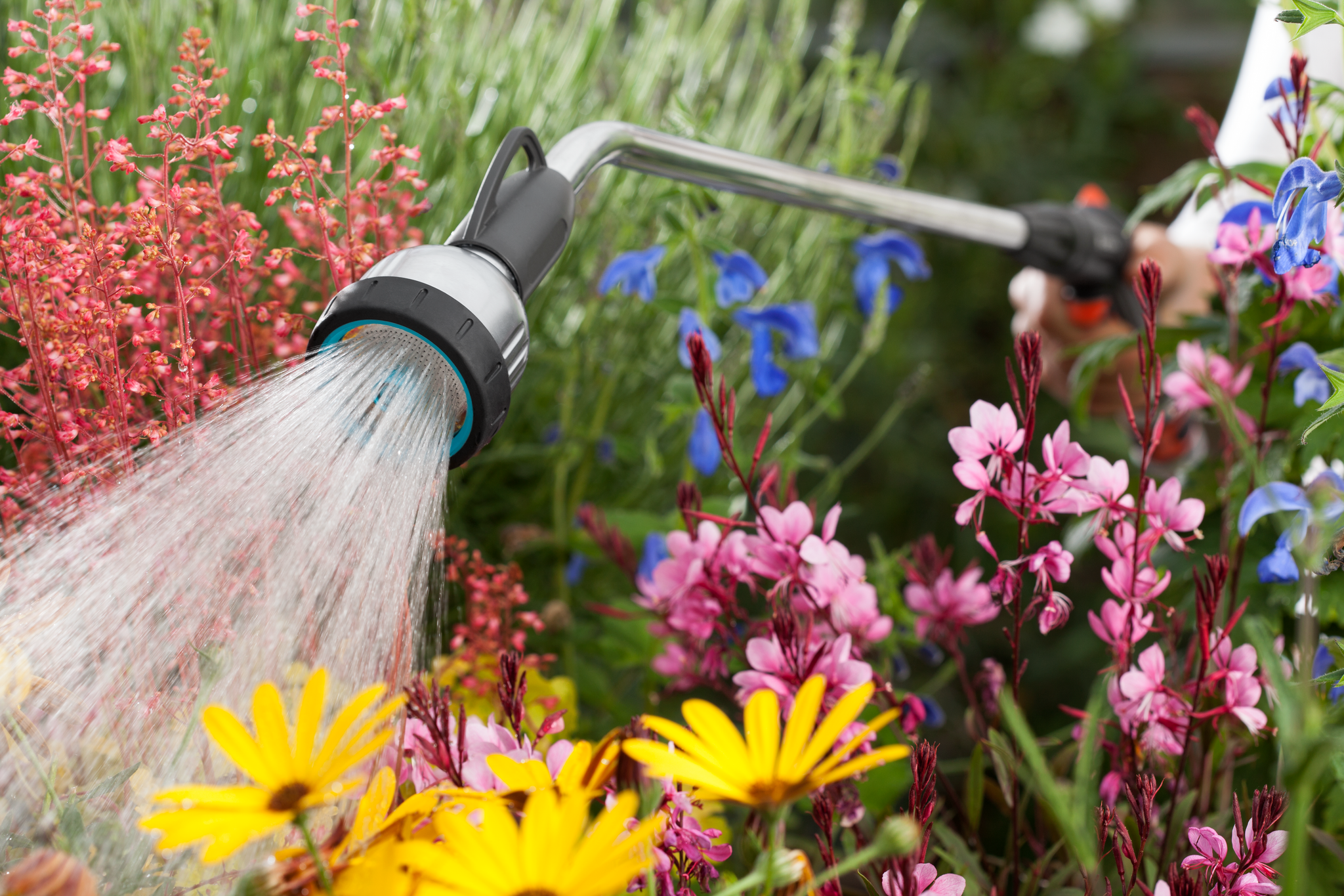 A garden hose nozzle watering vibrant flowers in a garden setting.
