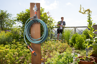 A garden hose neatly coiled on a wooden post in a lush garden setting., miniatuur 3