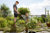 A person watering plants in a garden using a hose attached to a wooden garden tap., miniatuur 4