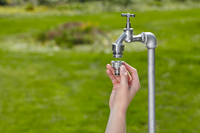 A person attaching a connector to an outdoor water tap in a garden setting., miniatuur 4