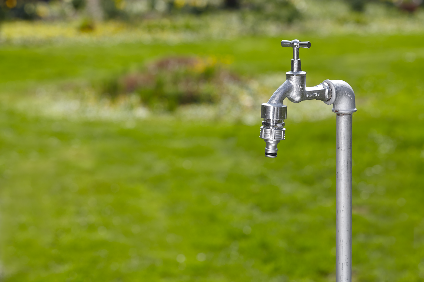 Outdoor water tap with a hose connector in a garden setting.