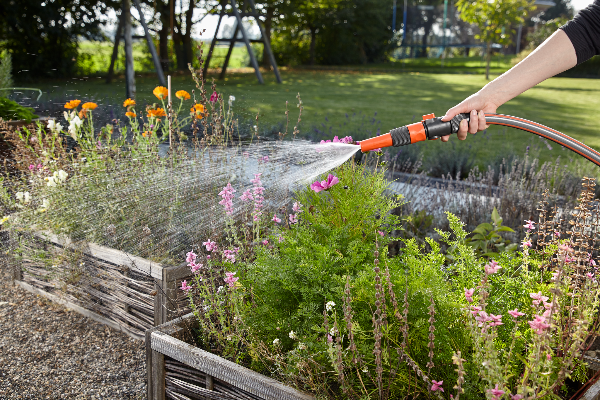 A person watering a garden bed filled with blooming flowers using a garden hose.