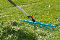 A Gardena rake being used to gather grass clippings on a lawn., miniatuur 2