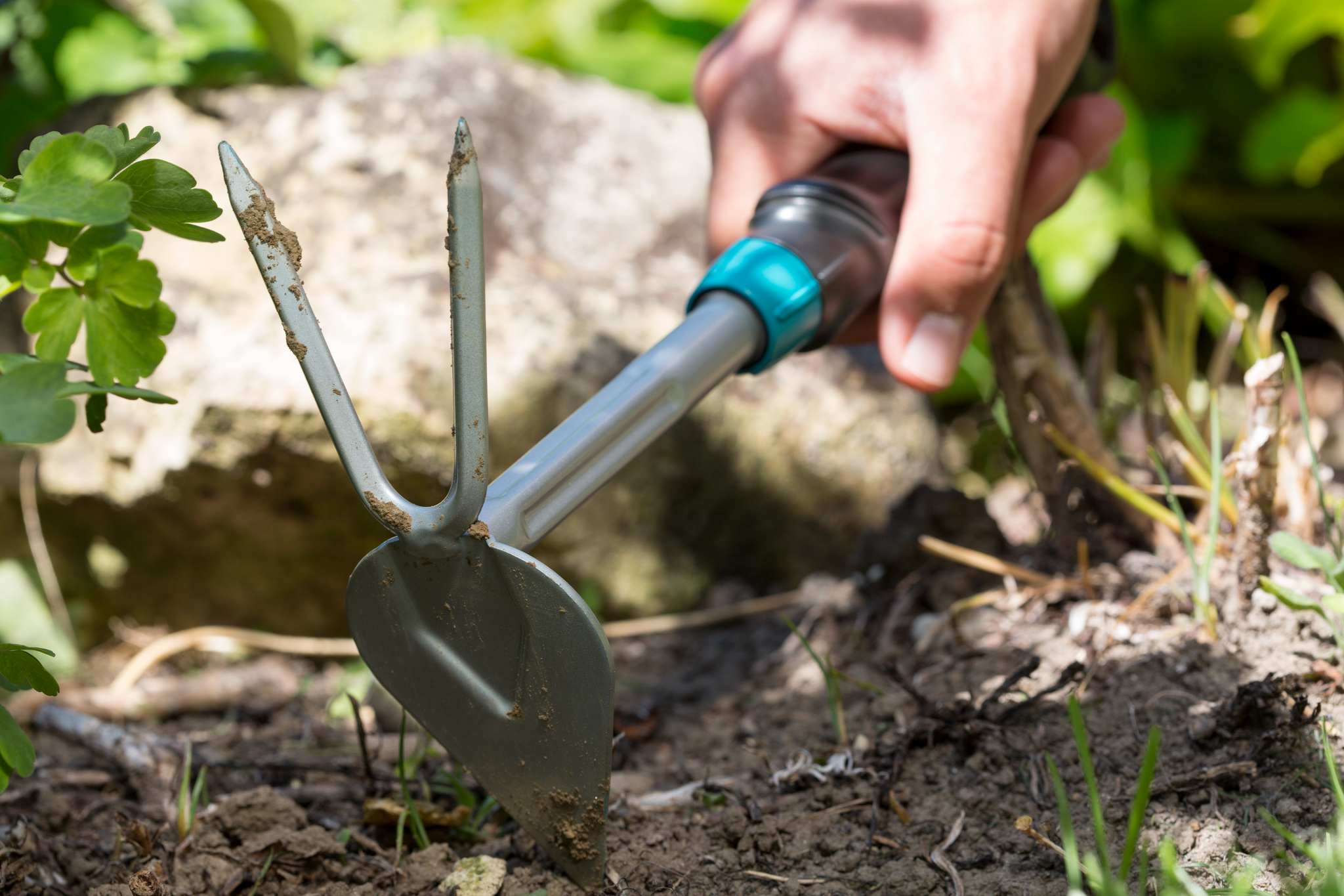 A person using a gardening hand fork to cultivate soil in a garden.