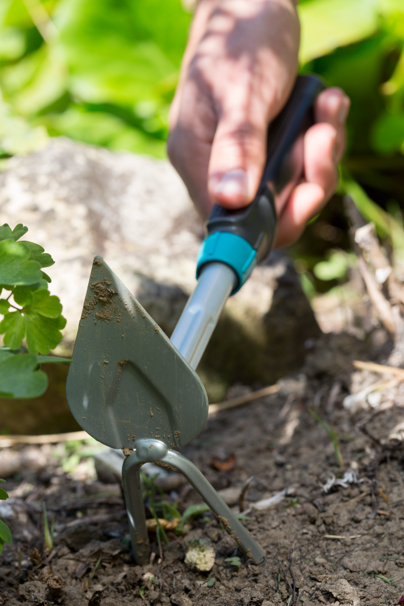 A person using a hand cultivator tool to till soil in a garden.