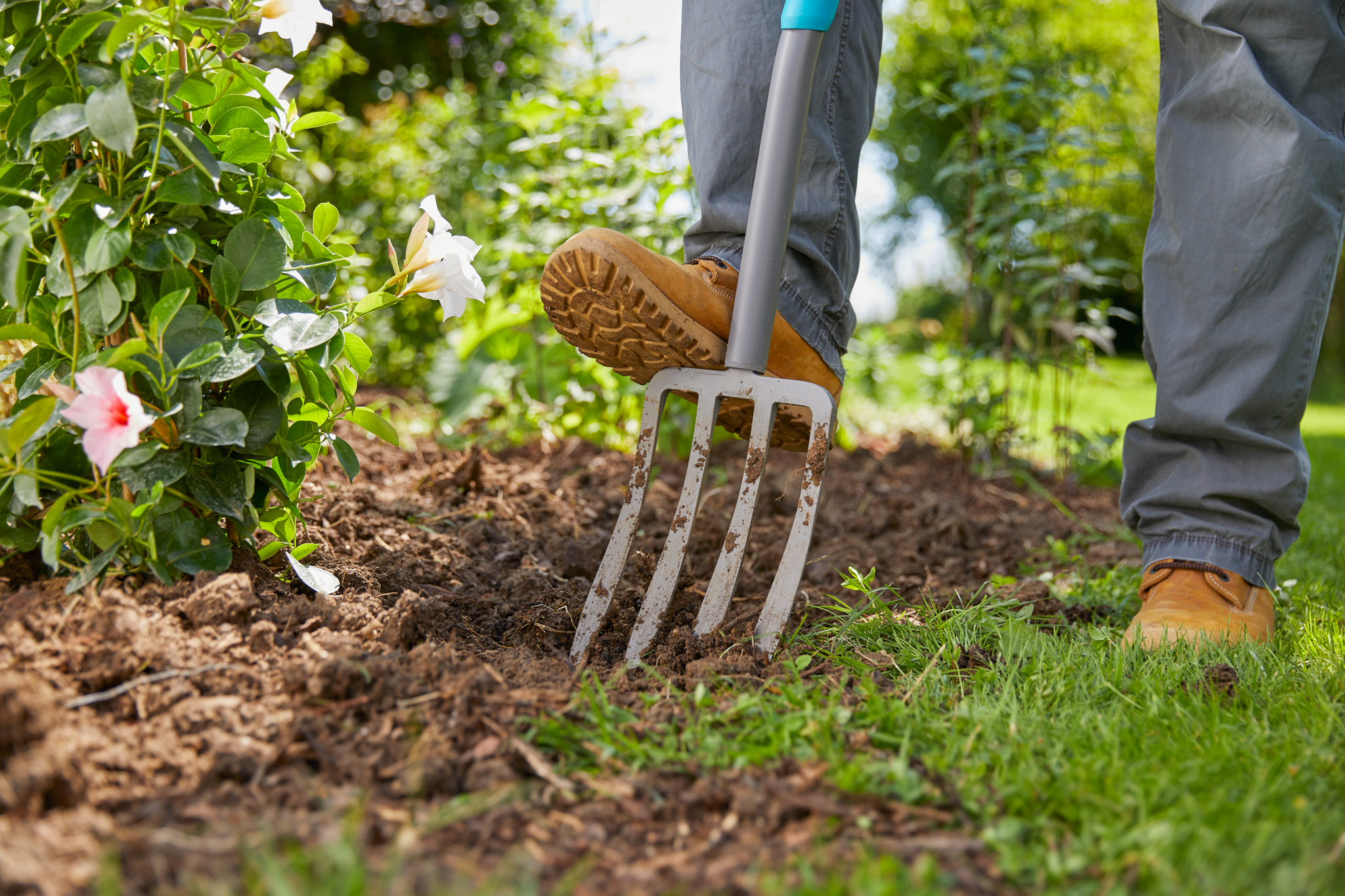 A person using a garden fork to turn soil in a flower bed.