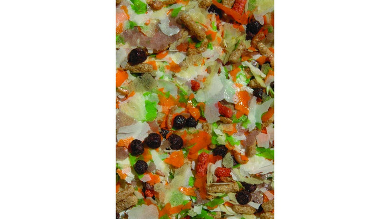 Detail van de drijvende Velda Gold Flakes vlokkenmix, afbeelding 2 Vijvervisvoer