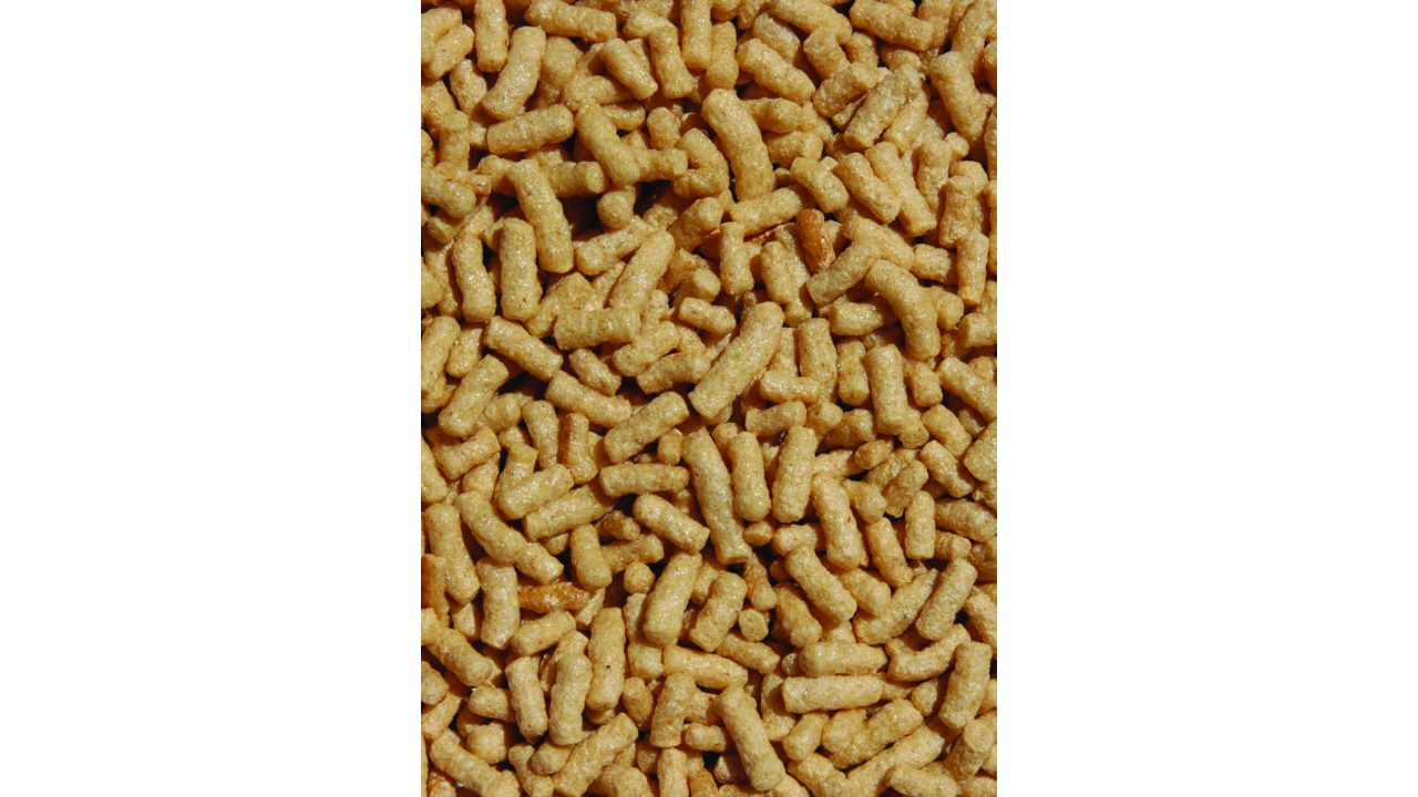 Detail van bruine drijvende Velda Gold Sticks voor siervijvervissen