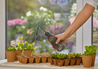 A person watering seedlings in biodegradable pots using a Gardena watering tool indoors., miniatuur 3
