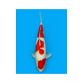 Kohaku