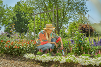 A person tending to a vibrant flower garden, surrounded by various blooming plants., miniatuur 5