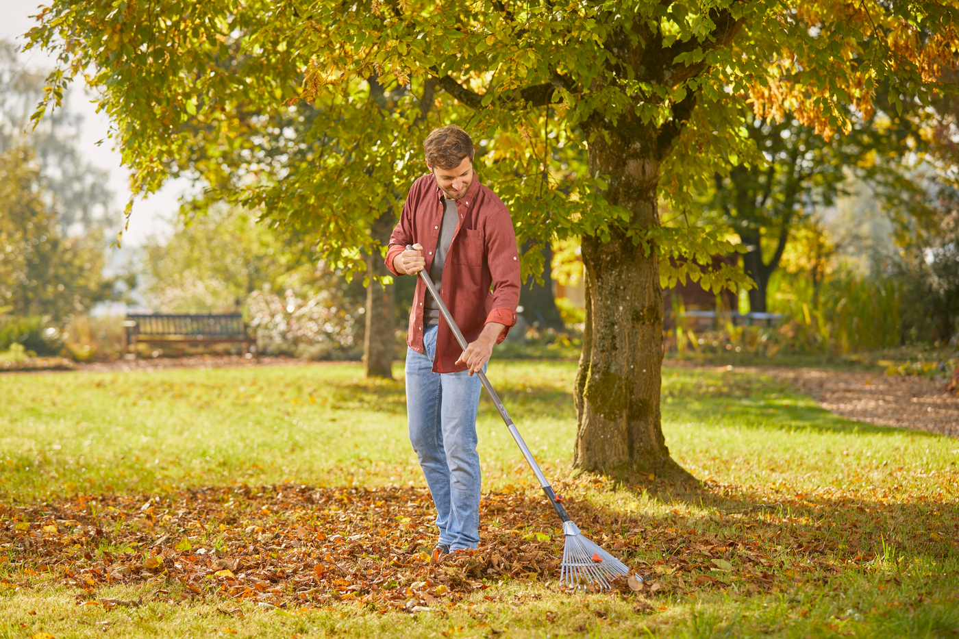 A person raking fallen leaves in a park under a tree.
