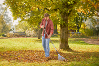 A person raking fallen leaves in a park under a tree., miniatuur 2