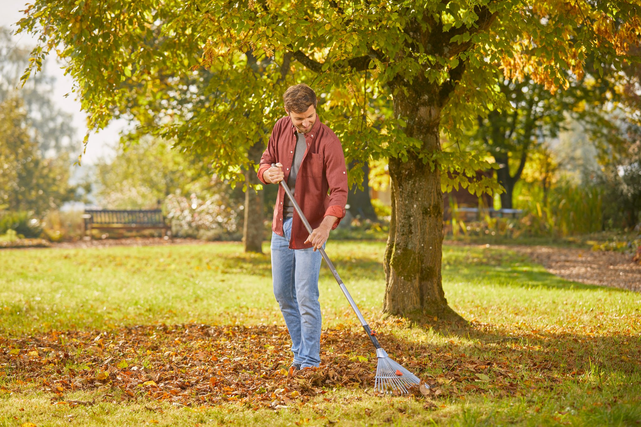 A person raking fallen leaves in a park under a tree.
