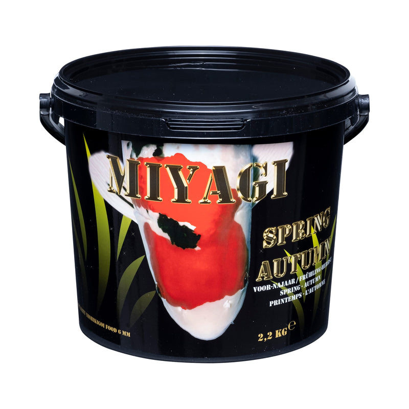 Miyagi Spring Autumn 2200 gr, Koivoer Seizoen bij Vijvercentrum