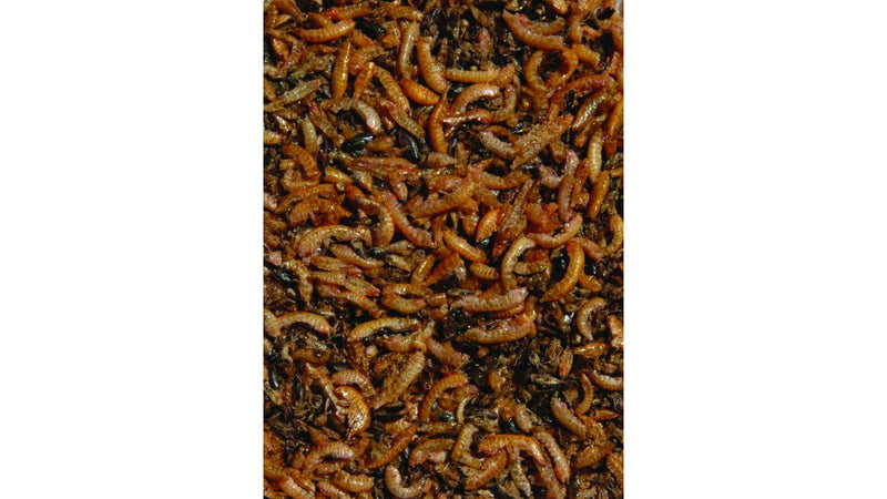 Vriesgedroogde rode gammarus en watervliegen in Velda Nature Fish Food, afbeelding 2 Vijvervisvoer