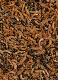 Close-up van rode gammarus en watervliegen in Velda Nature Fish Food, miniatuur 2