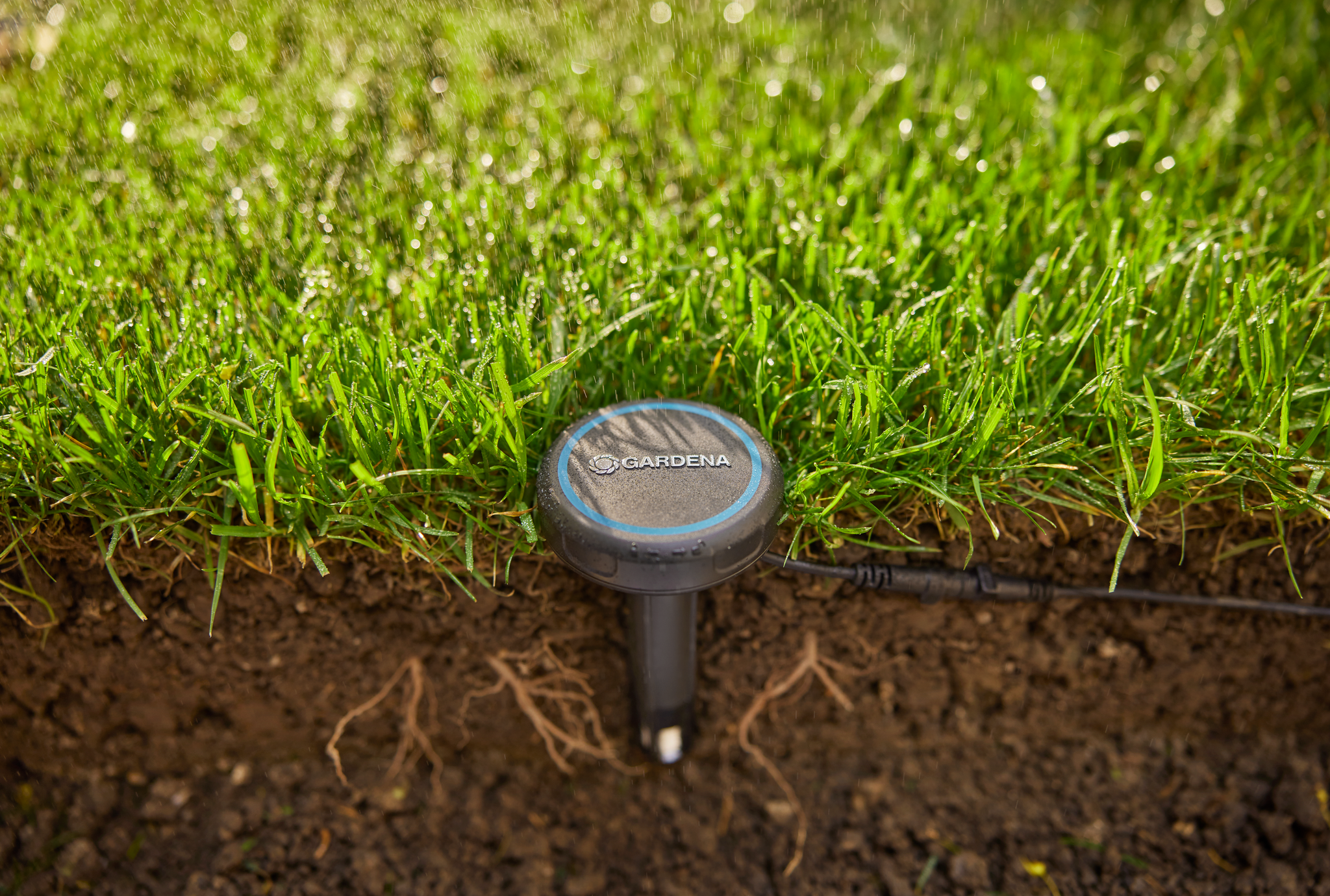 Gardena soil moisture sensor placed in a garden lawn.