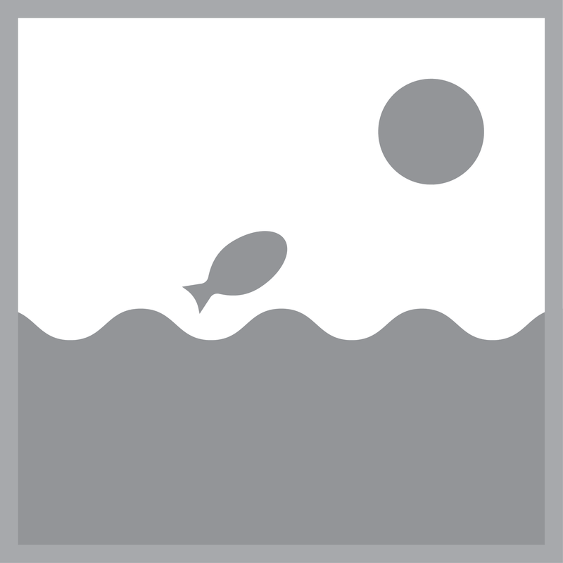 Aquaforte Ballast voor TMC Pro Clear 55 UV55 — Onderdeel UV-C bij Vijvercentrum