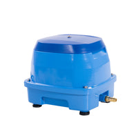 EAP 80, miniatuur 2
