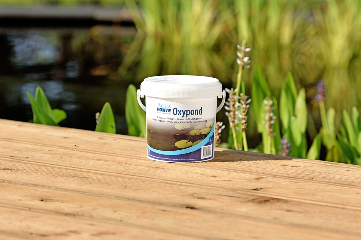 AquaForte Oxypond 1kg emmer