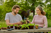 Two people gardening at a table, using tools to plant seedlings in pots., miniatuur 5