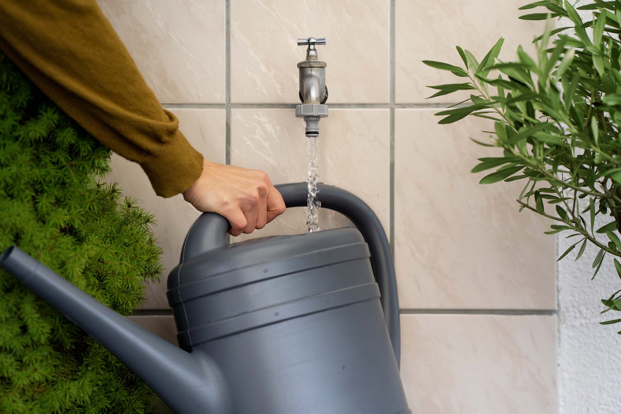 A person filling a watering can from an outdoor tap, surrounded by greenery.