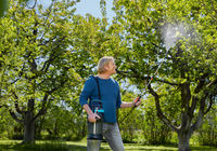 A person using a garden sprayer to water trees in a lush garden., miniatuur 6