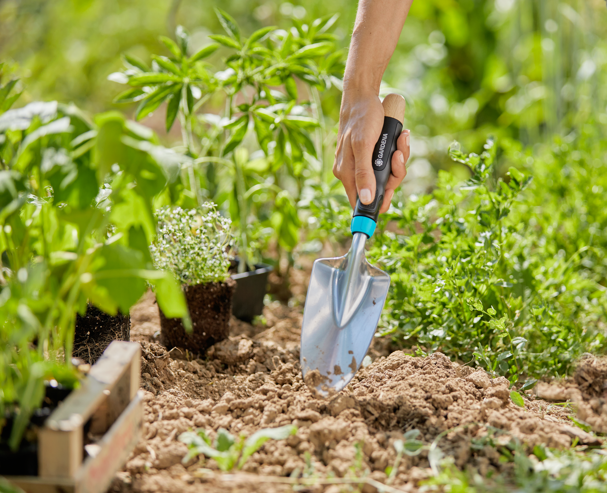 A person using a Gardena hand trowel to dig soil in a garden with various plants.