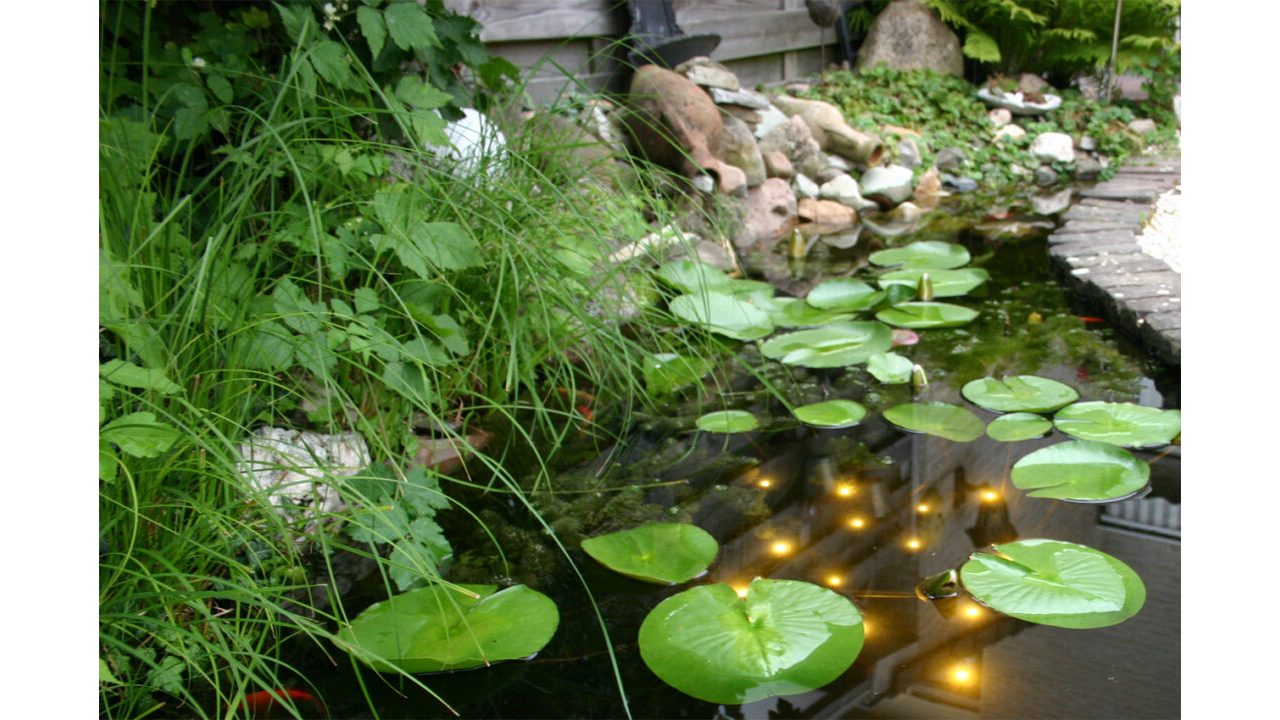 Velda Welkin Pond Light in de vijver als sterrenhemel-effect