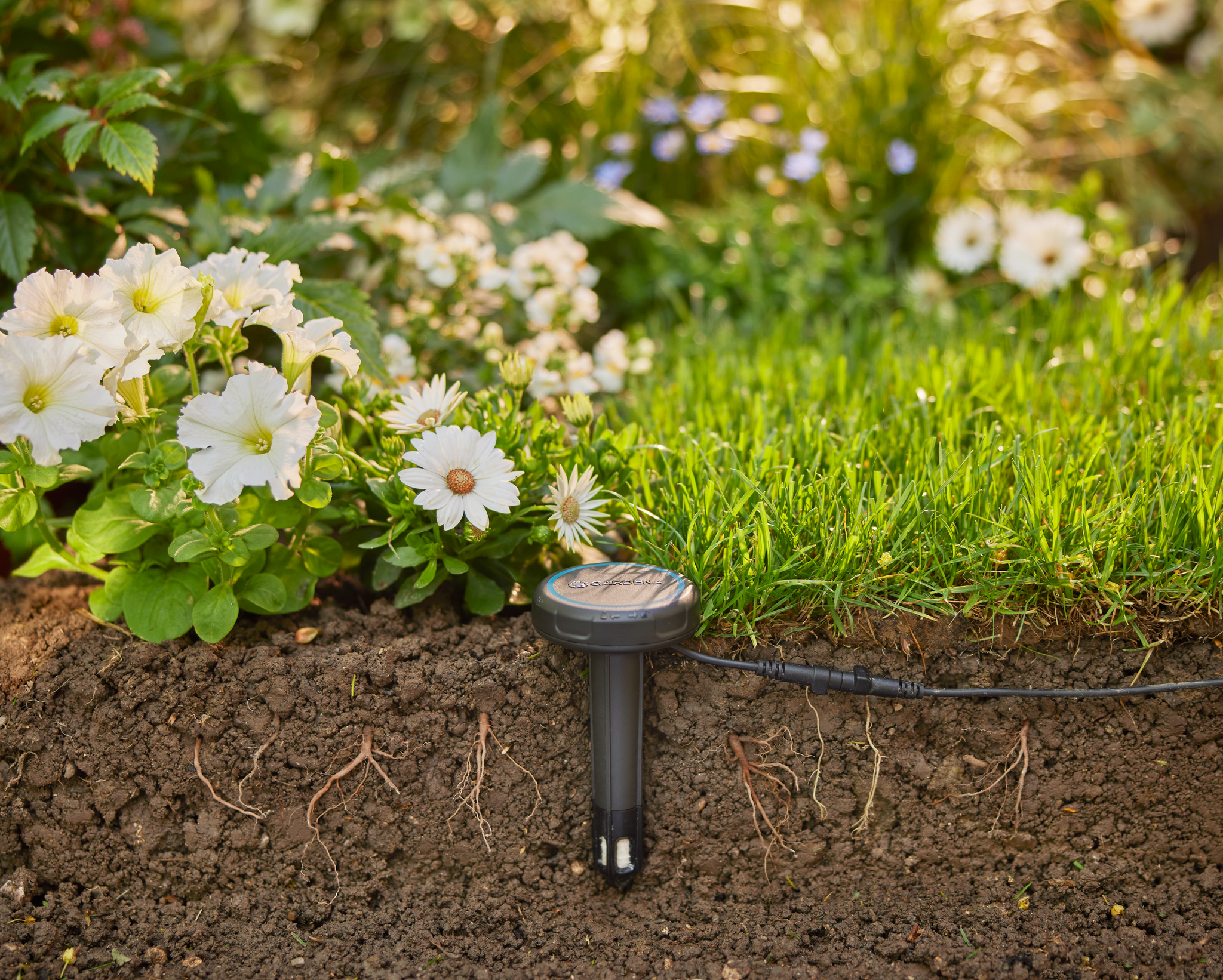 A soil moisture sensor placed in a garden bed, surrounded by blooming flowers and grass.