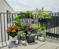 A balcony garden with various potted plants and a Gardena irrigation system., miniatuur 6