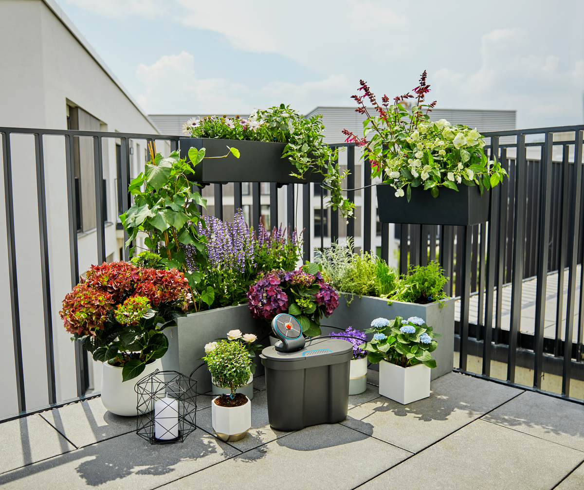 A balcony garden with various potted plants and a Gardena irrigation system.