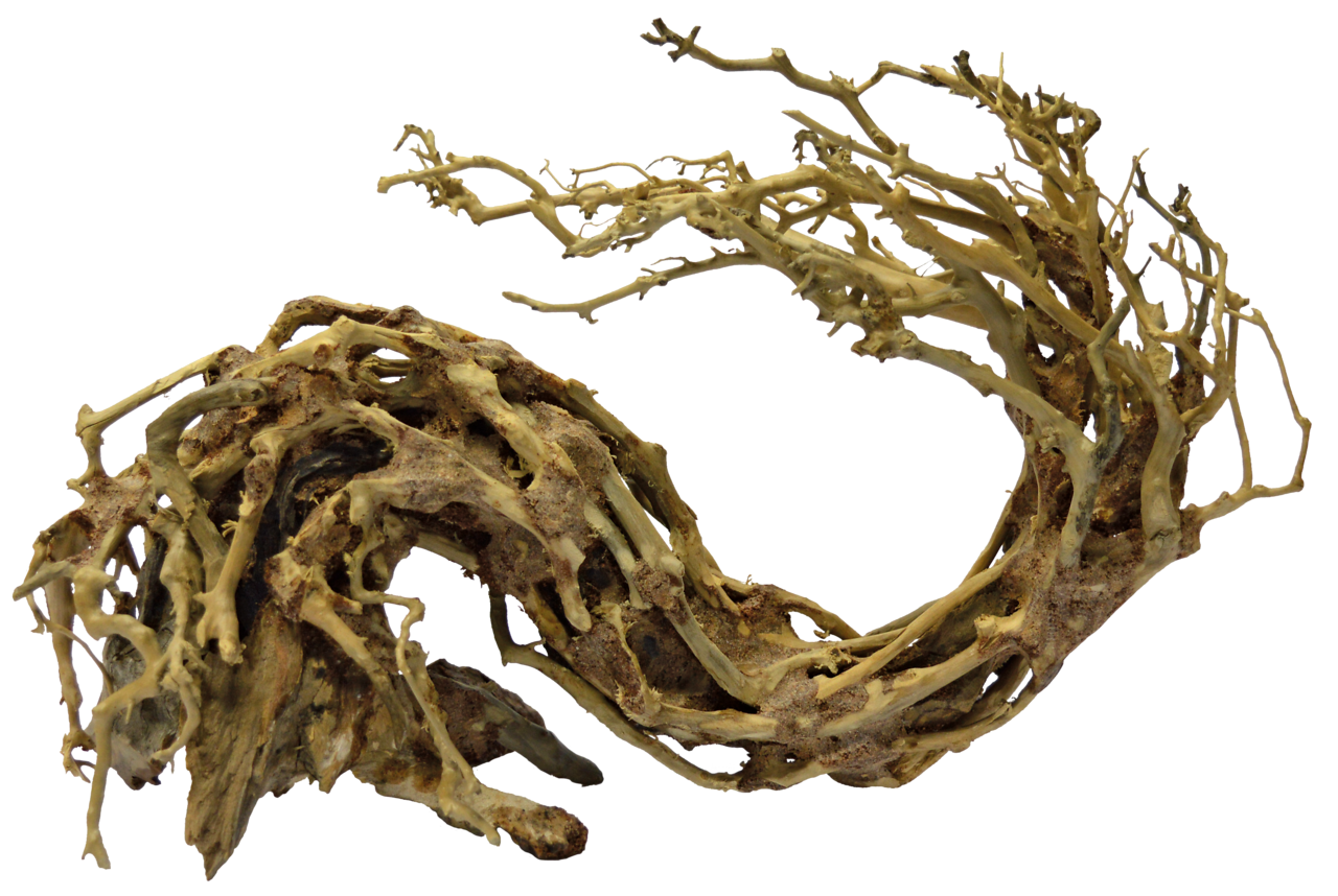 Superfish Bonsai Wave Aquarium Decoratie - Large
