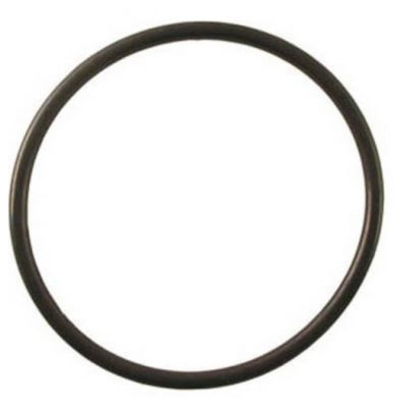 AquaForte O-ring deksel Ultrabead beadfilter - Afdichtingsring filterbehuizing
