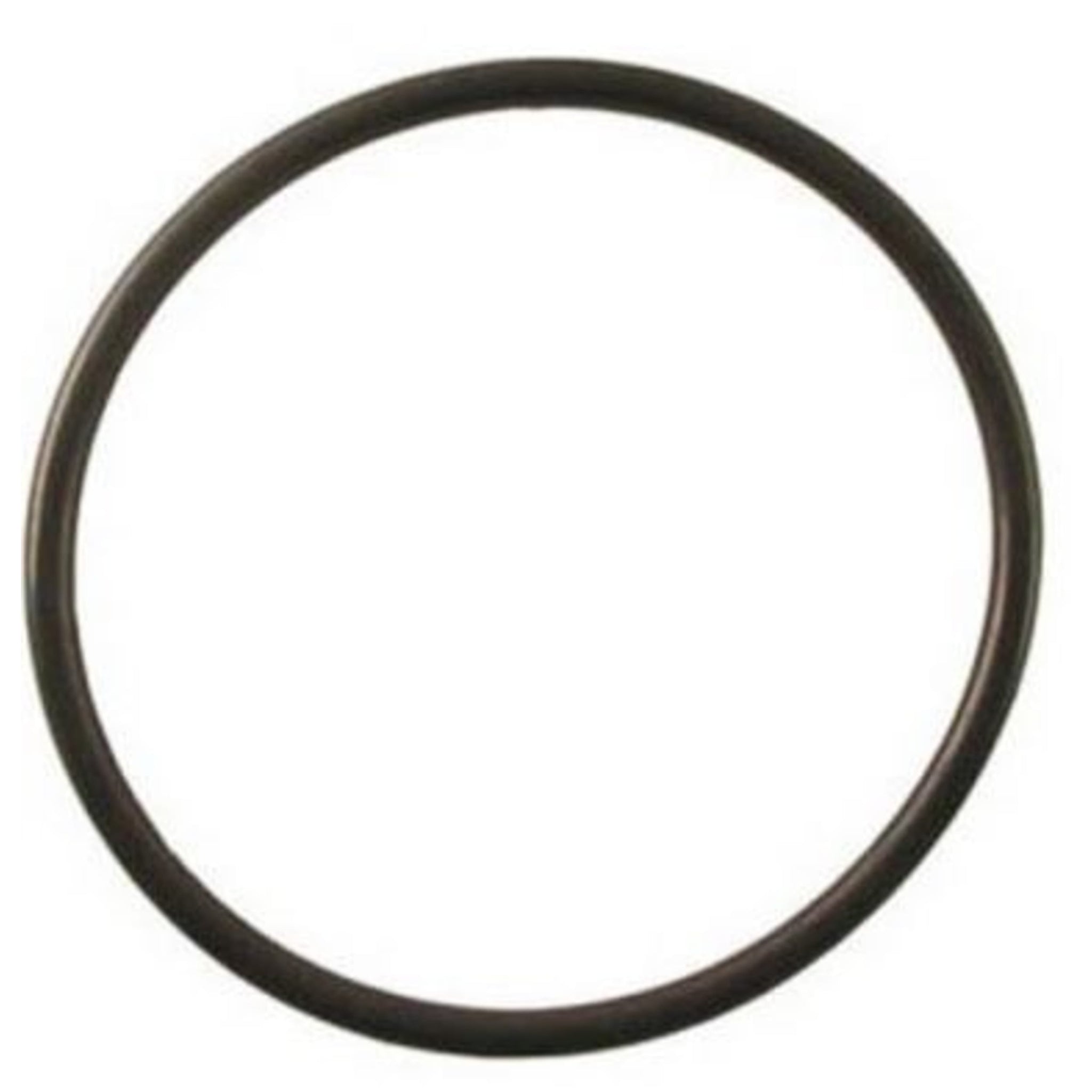 AquaForte O-ring deksel Ultrabead beadfilter - Afdichtingsring filterbehuizing