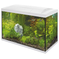 Start 100 Tropical Kit Wit - 8715897166204 SUPERFISH START 100 TROPICAL KIT WHITE PRODUCT, miniatuur 2