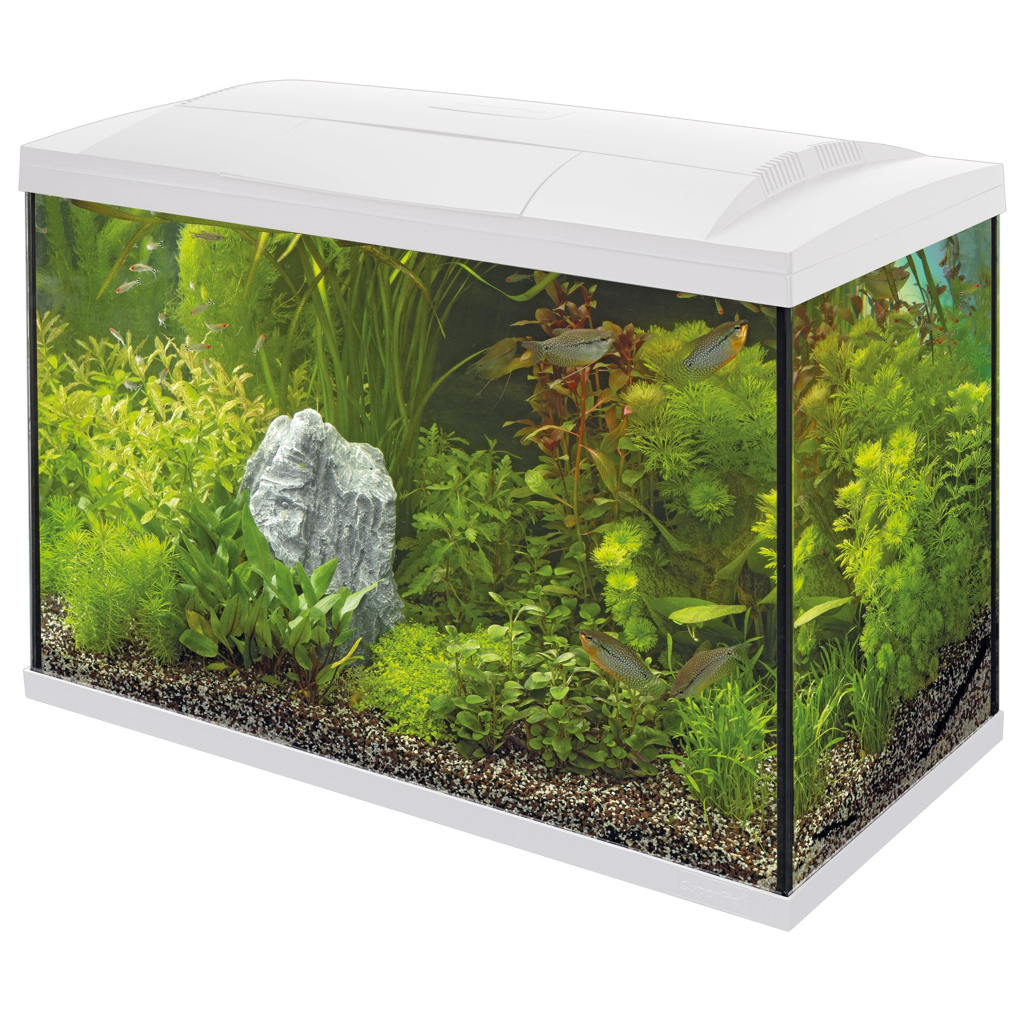 Start 100 Tropical Kit Wit - 8715897166204 SUPERFISH START 100 TROPICAL KIT WHITE PRODUCT