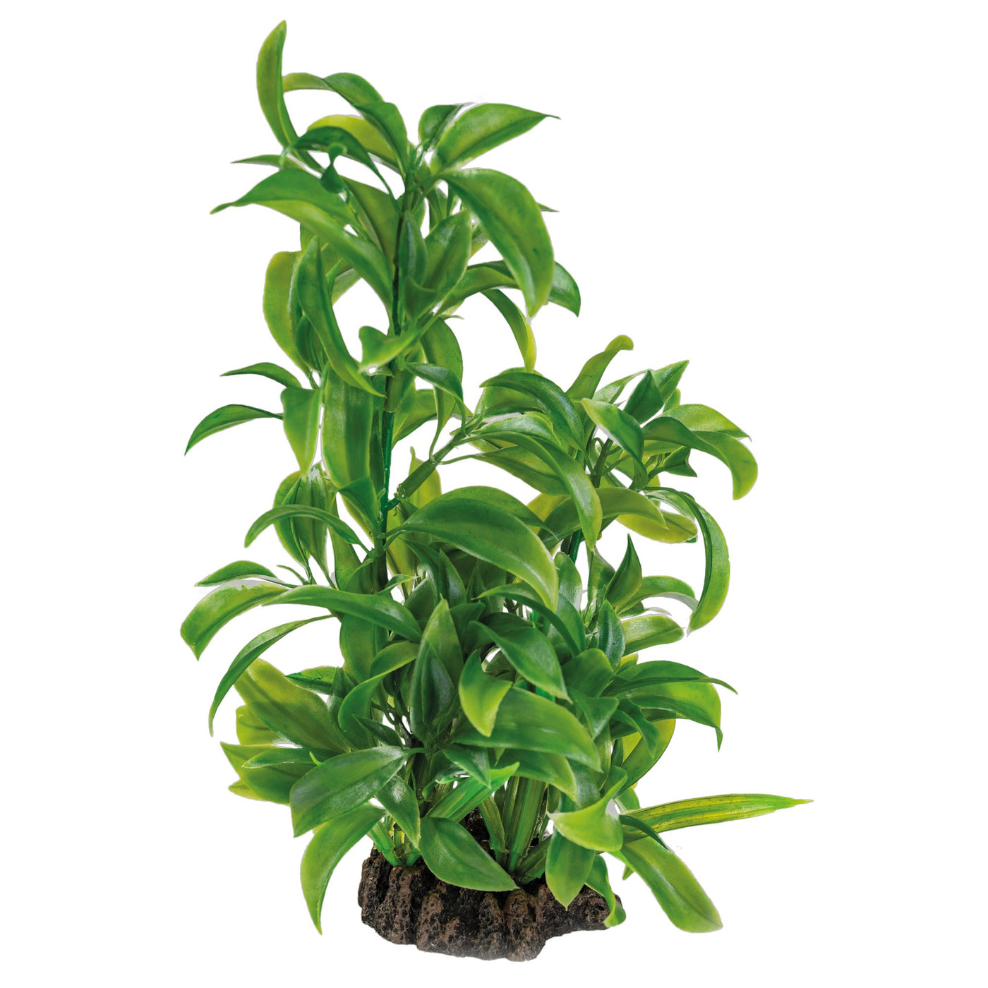 Superfish Art Plant Dracaena 25 cm - kunstplant voor aquariumdecoratie