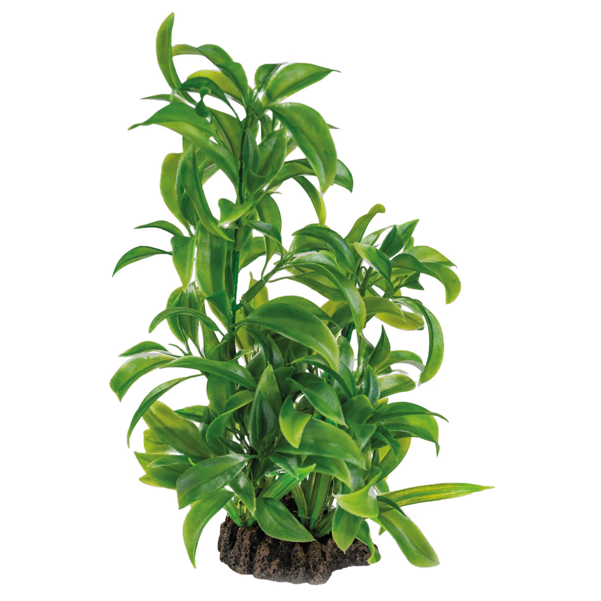 Superfish Art Plant Dracaena 25 cm - kunstplant voor aquariumdecoratie