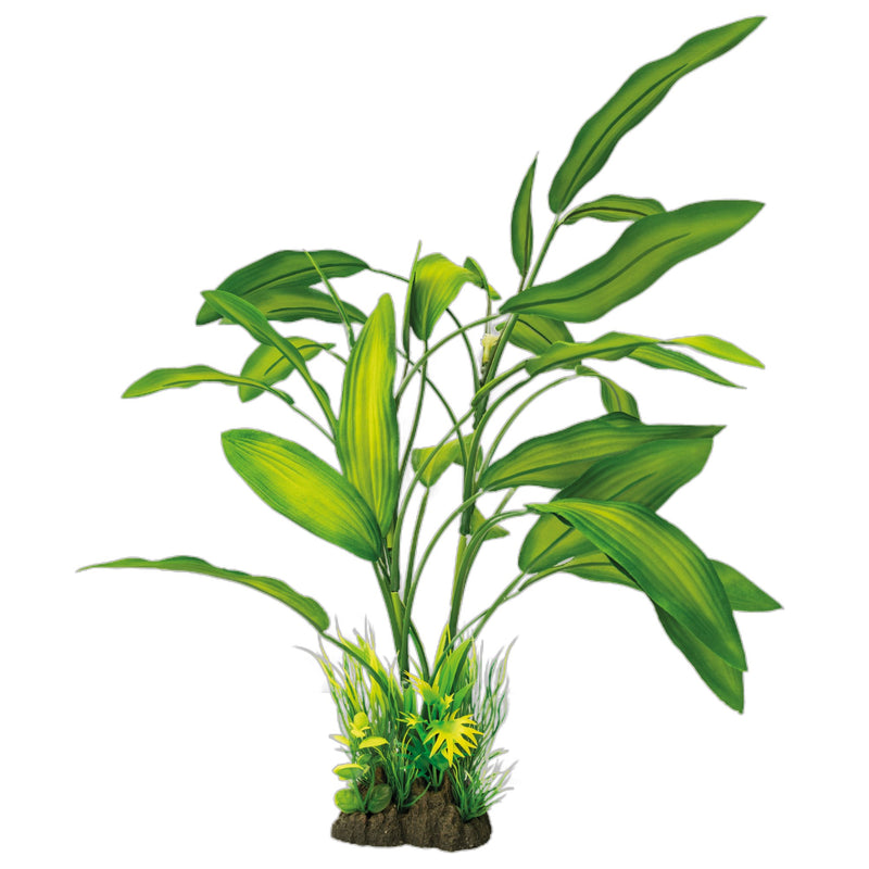 Art Plant 40cm Cryptocoryne, Aquarium Plantenvoeding bij Vijvercentrum