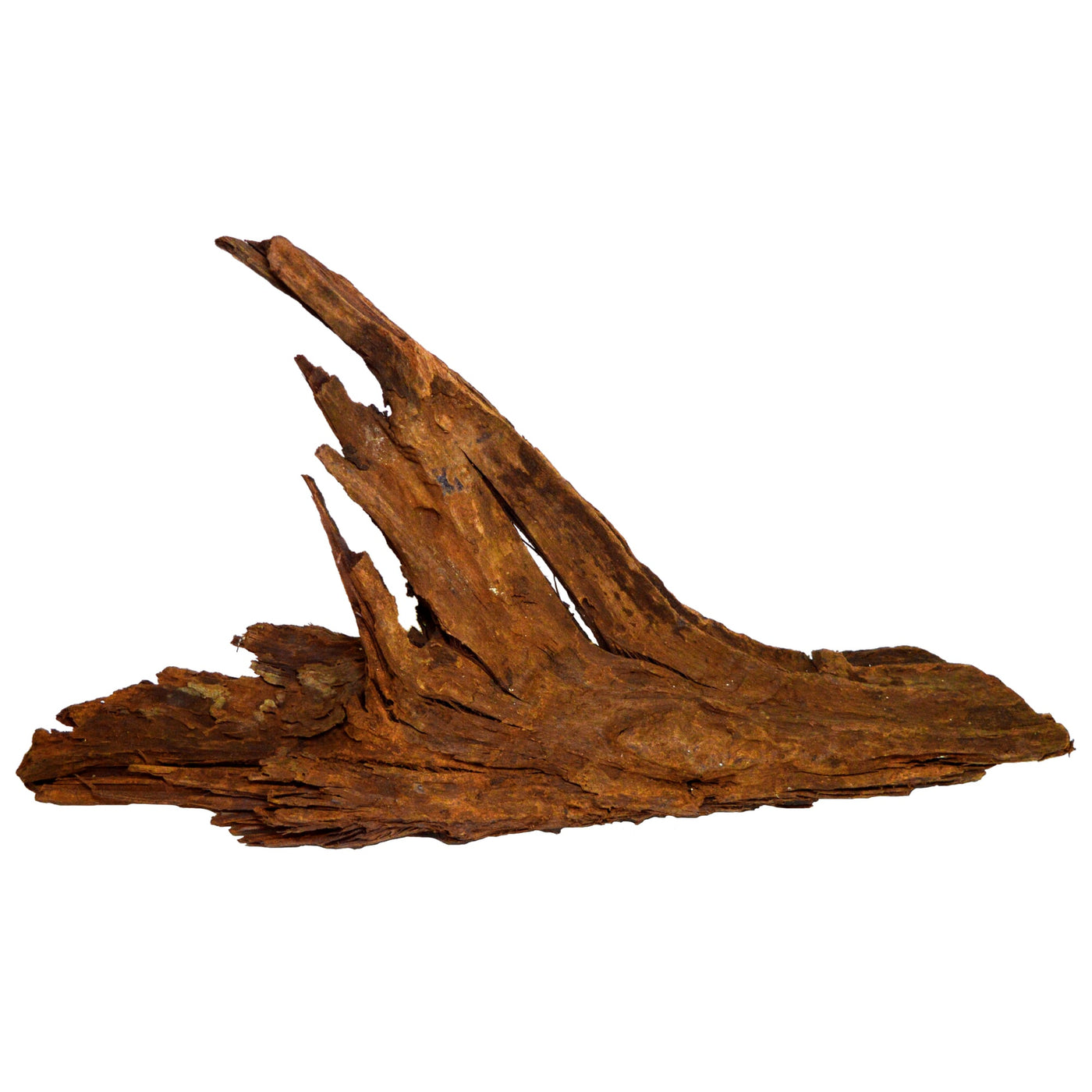 Driftwood X-Small