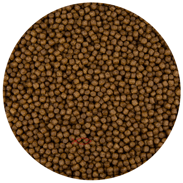Pond Pro Pond Pellet 3 mm 5 kg - Drijvend basisvoer voor kleinere koi en siervissen, afbeelding 2 Visvoer
