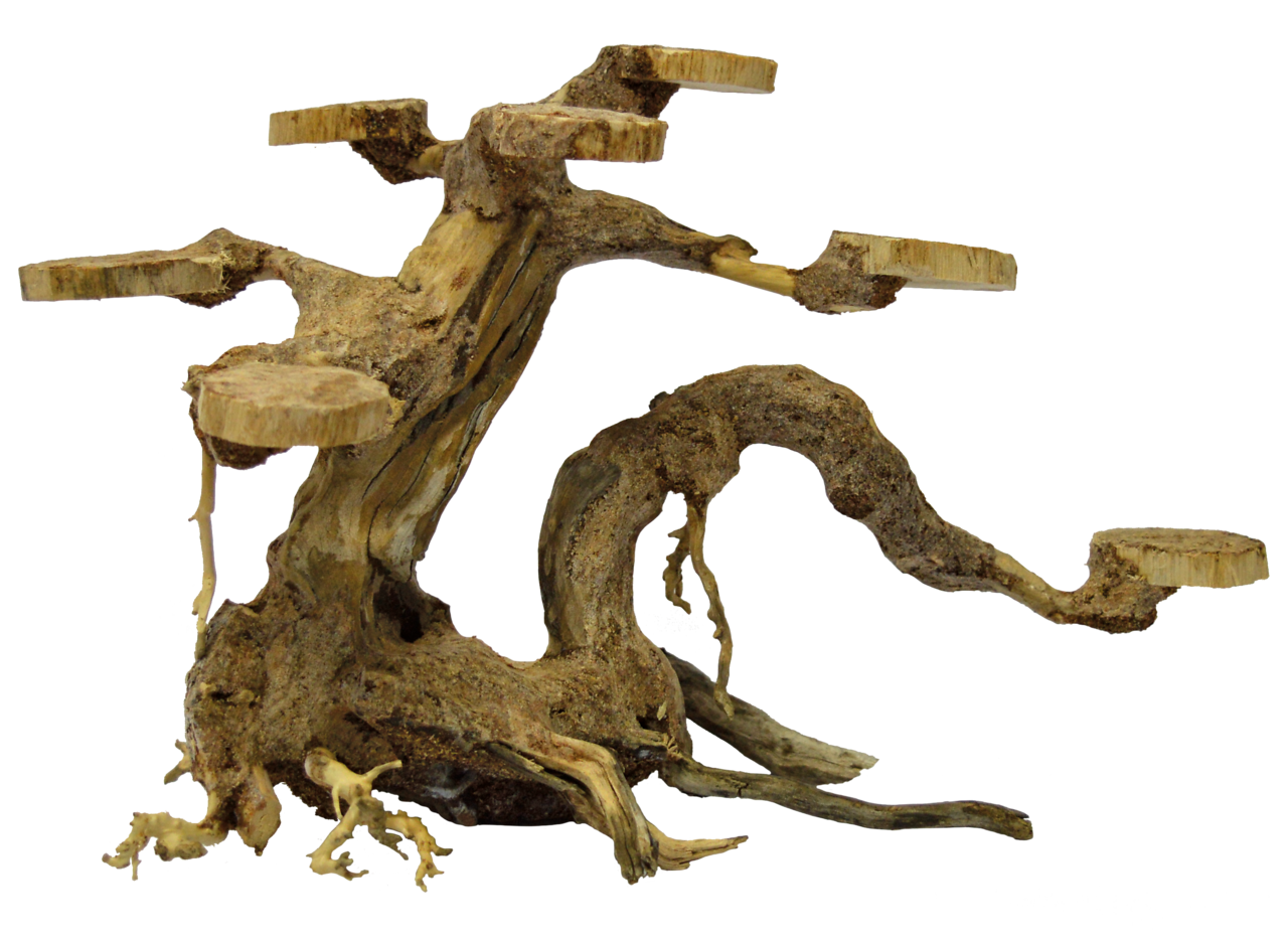 Superfish Bonsai Planter (Maat S)